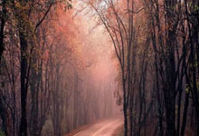 山西大胜取得胜利，吉林连败形势严峻